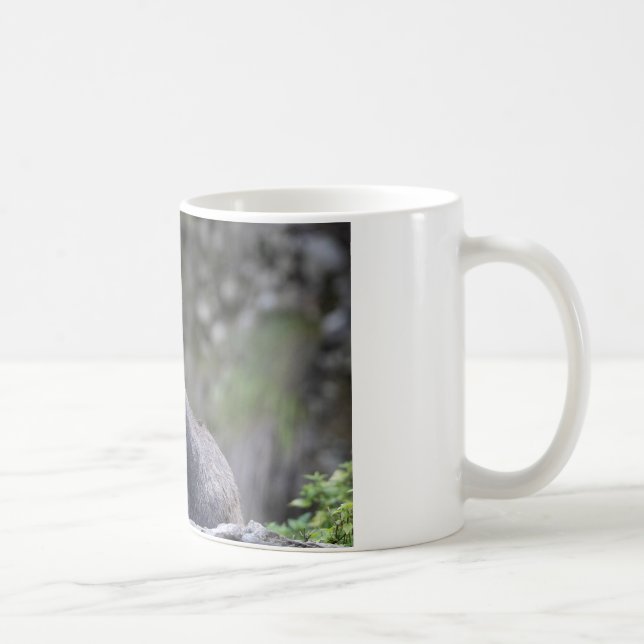 Rupicapra rupicapra kaffemugg (Höger)