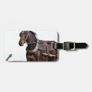 Rural Amish Horse and Buggy Bagagebricka