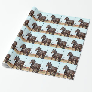 Rural Amish Horse and Buggy Presentpapper