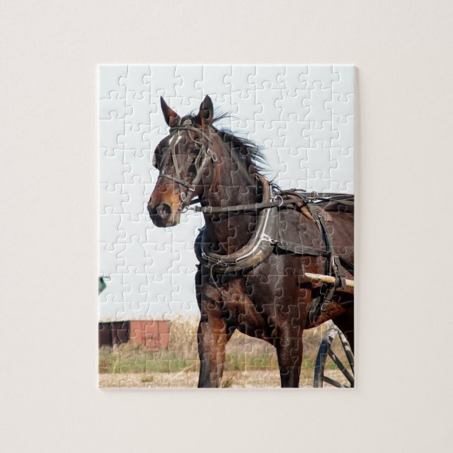 Rural Amish Horse and Buggy Pussel (Vertikal)