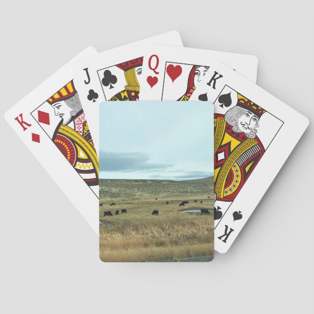 Rural Baker County, Oregon Casinokort (Baksidan)