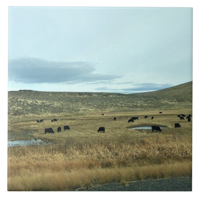 Rural Baker County, Oregon Kakelplatta (Framsidan)