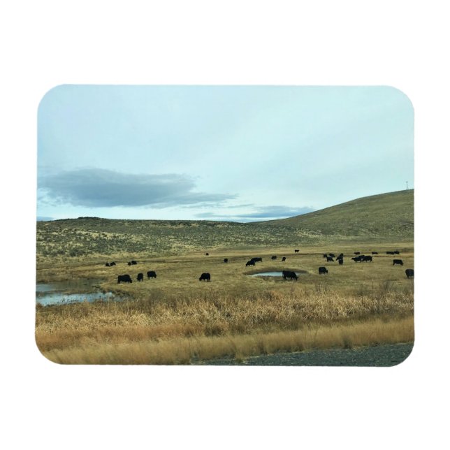 Rural Baker County, Oregon Magnet (Horisontell)