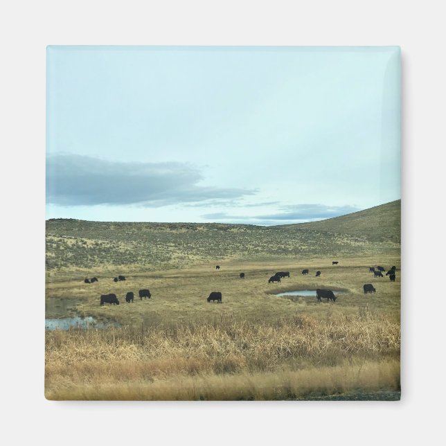 Rural Baker County, Oregon Magnet (Framsidan)