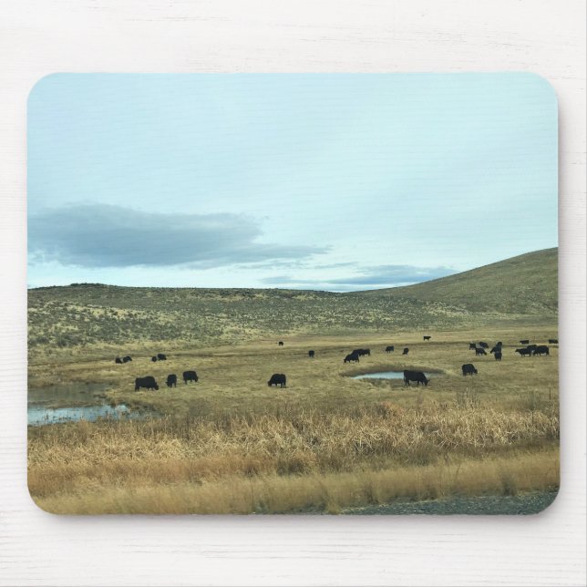 Rural Baker County, Oregon Musmatta (Framsidan)