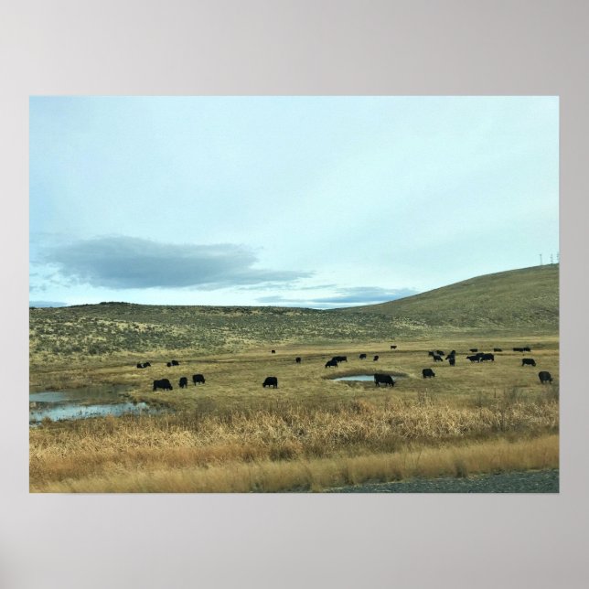 Rural Baker County, Oregon Poster (Framsidan)