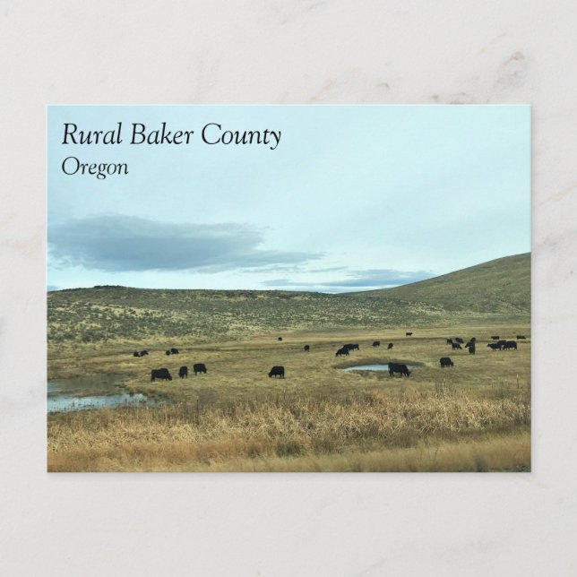 Rural Baker County, Oregon Vykort (Framsida)