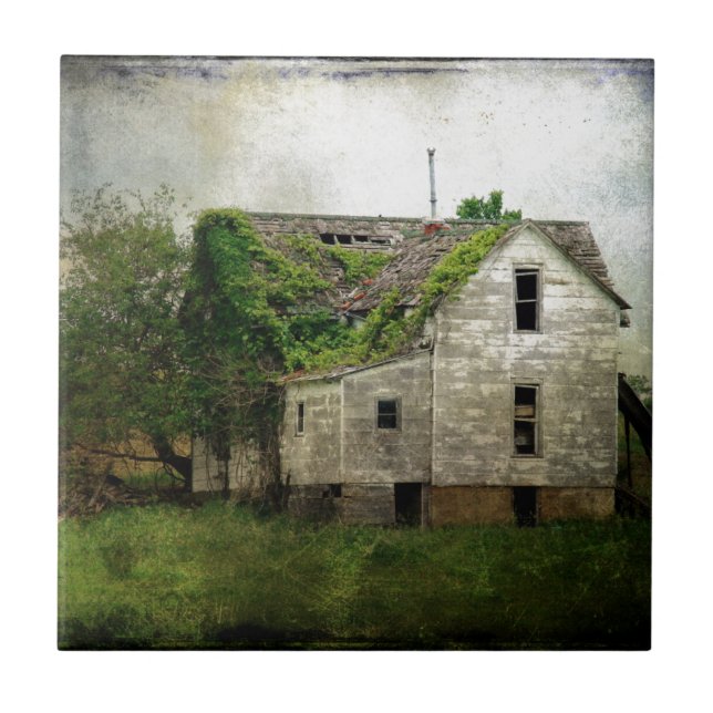 Rural Missouri Abandoned House Kakelplatta (Framsidan)