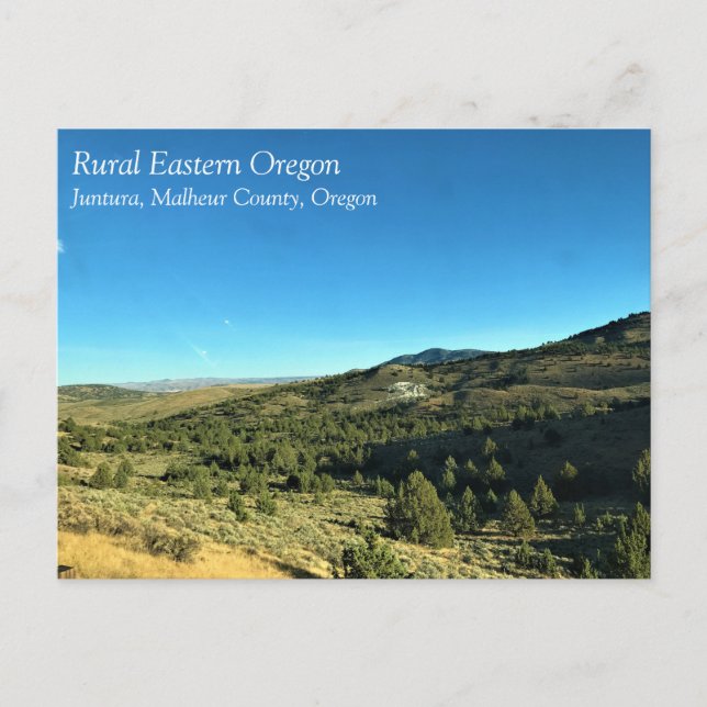 Rural Oregon, Juntura, Malheur County, Oregon Vykort (Framsida)