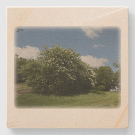 Rural Sweden June Stenunderlägg