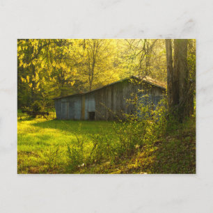 Rural Tennessee Vår Morglight Light Vykort