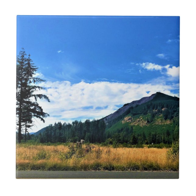 Rural Washington, Randle, WA Kakelplatta (Framsidan)