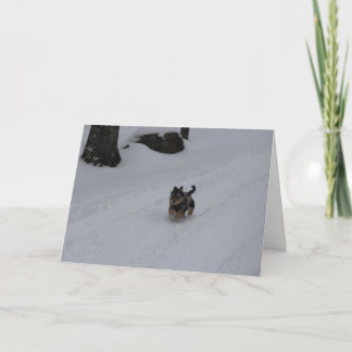 Rusa beslutsam valpkortPERSONLIG Helgkort