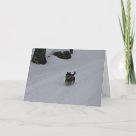 Rusa det beslutsamma valpkortet helgkort