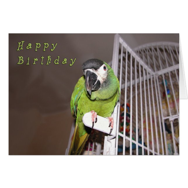 Rusa djävulen hälsningskort (Framsidan Horizontal)