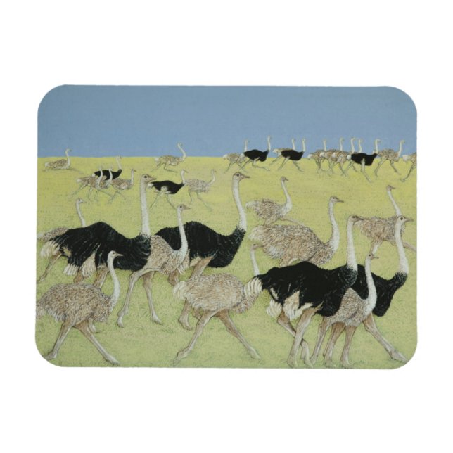 Rush 2 magnet (Horisontell)