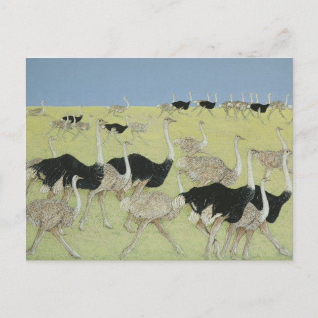 Rush 2 vykort (Framsida)