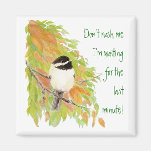 Rush inte Procrastination Roligt Bird Humor Magnet