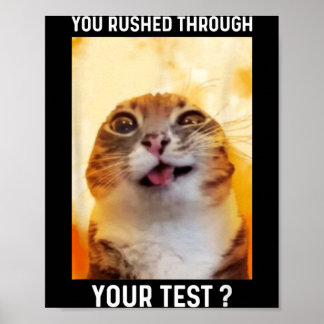 Rushade Genom Test Rolig Testdag Lärare Katt Poster