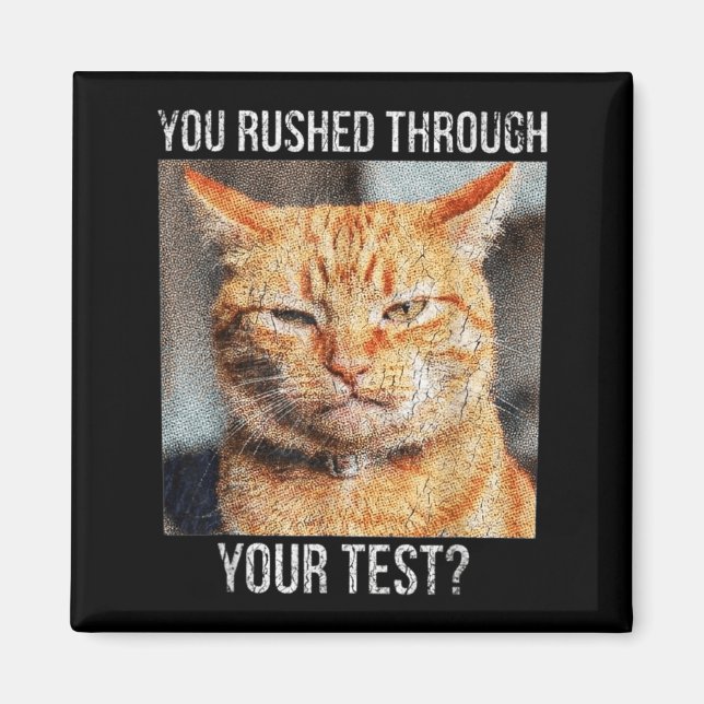 Rushade Genom Test Roligt Test Dag Lärare Meme Magnet (Framsidan)