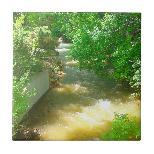Rushing River under Träd Tile Kakelplatta (Framsidan)