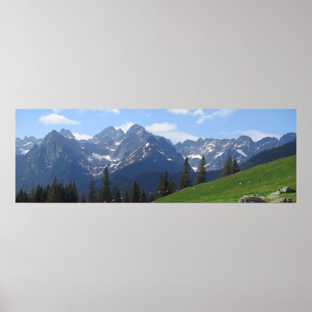 Rusinowa meadow Tatras Poster (Framsidan)