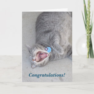 Russ som kattgrattisen Card Kort