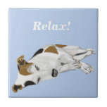 Russell Coffee Mugg i den sovande Jacken Kakelplatta<br><div class="desc">Den här keramiska plattformen har en Jack Russell Terrier som sover lugnt med bildtexten "Slappna av"! En underbar gåva till en Jack Russell-ägare och en perfekt underlägg för kaffet bord.</div>