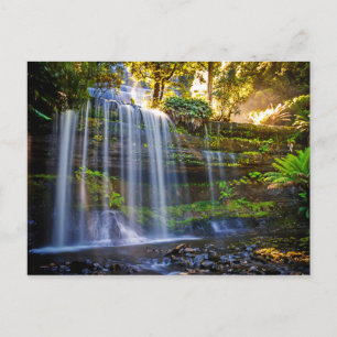 Russell Falls Australiens vykort