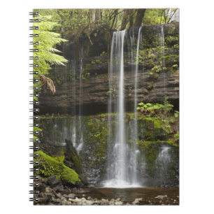Russell Falls, Mount Field nationalpark, Anteckningsbok Med Spiral