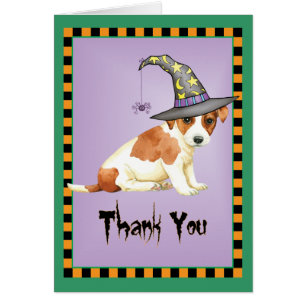 Russell Terrier Witch Tack. OBS Kort