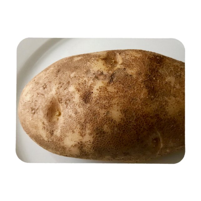 Russet Potato on White Plate Photo Magnet (Horisontell)