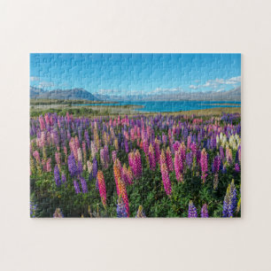 Russle Lupines på sjön Tekapo nyazeeländsk Pussel