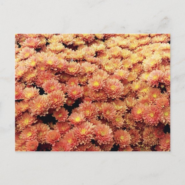 Rust färgad vykort (Framsida)