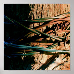 Rust- och Blue Barbed Wire Poster