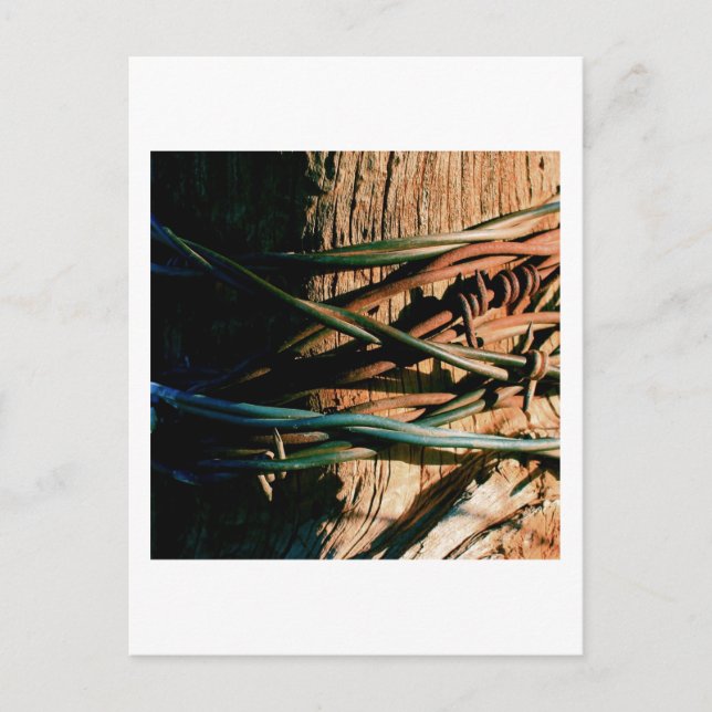 Rust- och Blue Barbed Wire Vykort (Framsida)