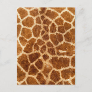 rustic african mode safari animal giraffe print vykort