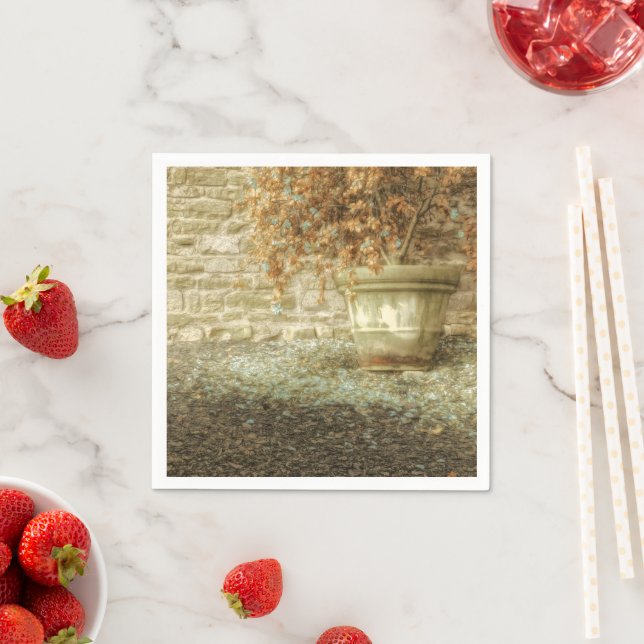 Rustic Autumn Garden Pappersservett (Insitu)