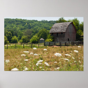 Rustic Barn och Queen Anne's Snöre Poster