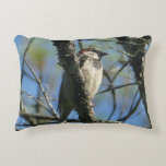 Rustic Bird i Träd Dekorativ kudde<br><div class="desc">En häpnadsväckande bild av en fågel på en ren vinter gren. Perfektens accentkudde för din soffa. Underbar gåva till mors dag och fågelskådare!</div>