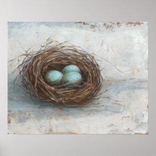 Rustic Bird Nest - Blue Poster
