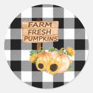 Rustic Black and White Play med Fall Pumpkins Runt Klistermärke