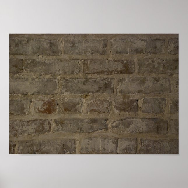 Rustic Brick Wall Poster (Framsidan)