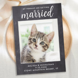 Rustic Bröllop Simple Anpassningsbar Pet Photo Cat Spara Datumet