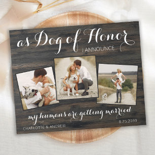 Rustic Budget Hund Photo Bröllop spara datum
