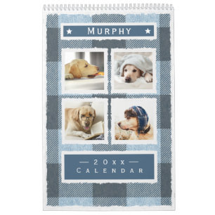 Rustic Buffalo Play Blue Hund Pet 2022 Kalender