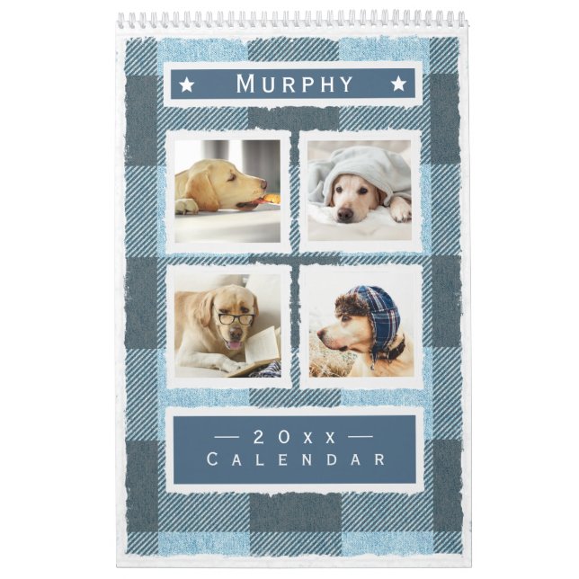 Rustic Buffalo Play Blue Hund Pet 2023 Kalender (Omslag)