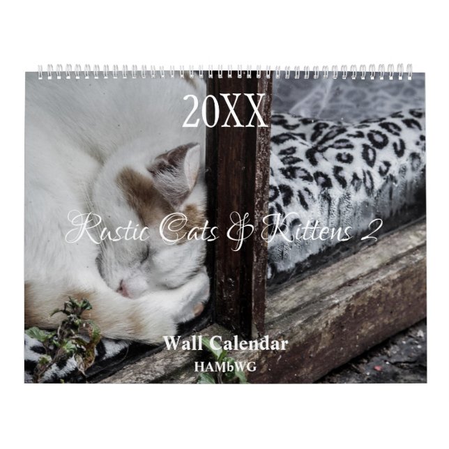 Rustic Cats & Kittens 2-väggskalender - HAMbyWG Kalender (Omslag)