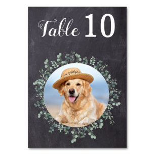 Rustic Chalkboard Eucalyptus Modern Photo Bröllop Bordsnummer