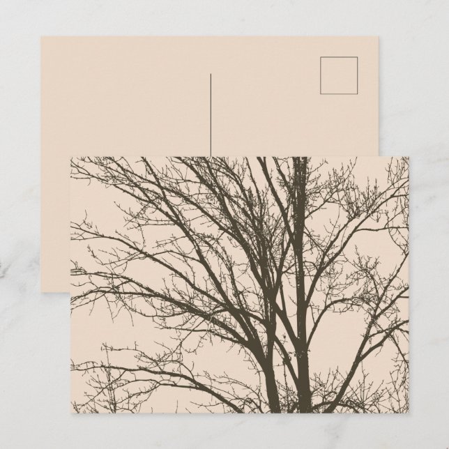 Rustic Cream Brown Träd Grenar Vykort (Fram/baksida)